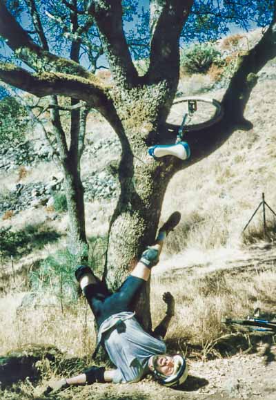 Paul Bunson Tree Crash, 1996